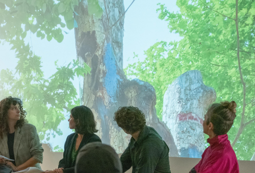 “Çınaraltı”: Under the plane tree 