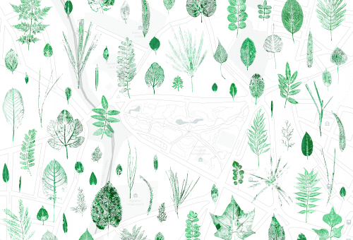 SMALL SCALE STUDIES: memo-garden