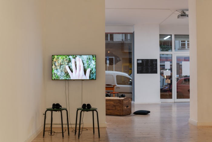 THIS TREE, THIS YEAR 1