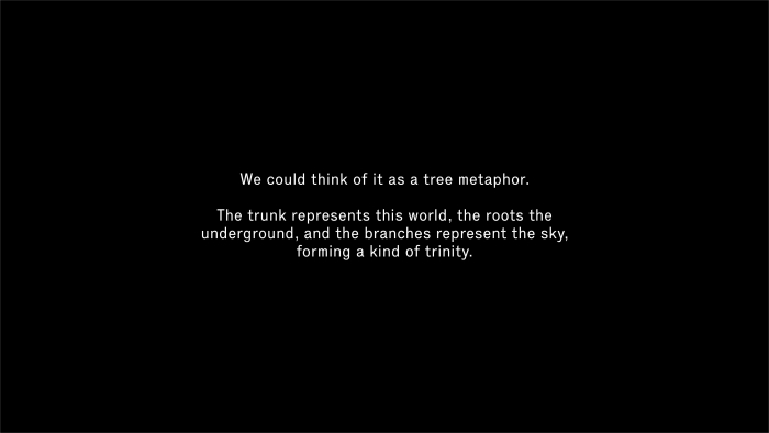 THIS TREE, THIS YEAR 4